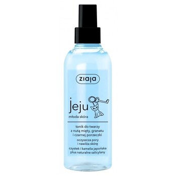 Jeju Face Skin Tonic - Pleťové tonikum